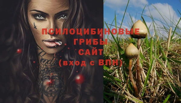дурь Переславль-Залесский