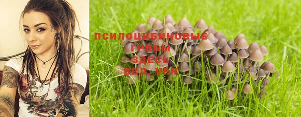 мдпв Нягань