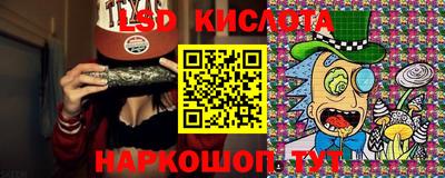 ПСИЛОЦИБИНОВЫЕ ГРИБЫ Кингисепп