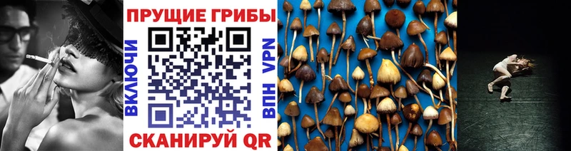 Псилоцибиновые грибы прущие грибы  купить наркоту  Миасс 