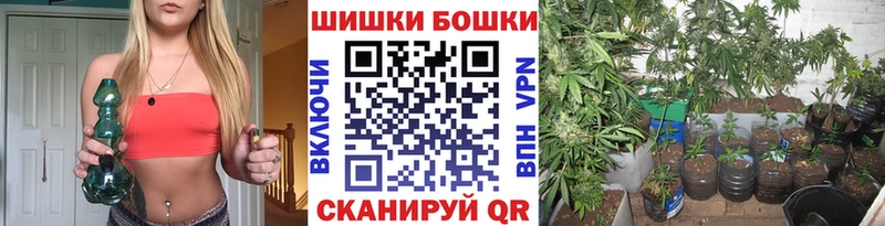 купить   Миасс  Шишки марихуана план 